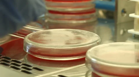 Close-up of scientist hands examining samples in flask Video stock 51984743