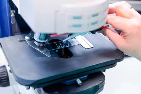 Close up of scientist hands with microscope, examining samples of liquid Foto stock
