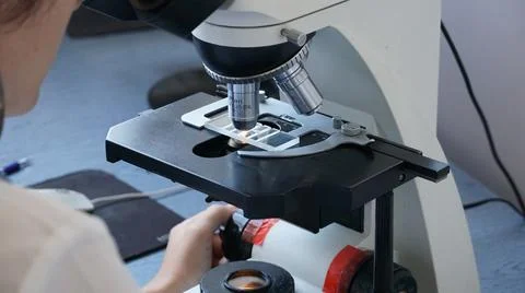 Close-up of scientist hands with microscope, examining samples and liquid. mi Stock Photos