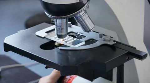 Close-up of scientist hands with microscope, examining samples and liquid. mi Stock Photos