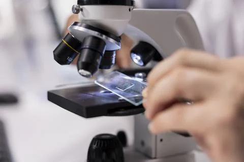 Close up of scientist in laboratory uses microscope and observation glass tray Stock Photos