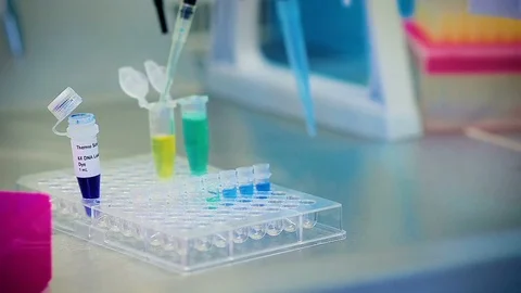 Close-Up Scientist Makes Bio Analyzes of Viruses in the Laboratory Stock Footage 73749688