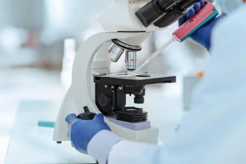Close up. scientist microbiologist testing samples in the laboratory . Stock Photos