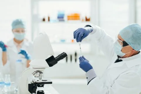 Close up. scientist microbiologist working in the laboratory. Stock Photos