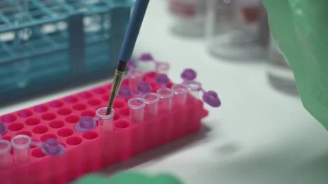 Close up scientist moving Micro Centrifuge Tube for PCR test in Biosafety cabine Stock Footage