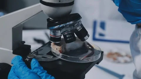 Close-up of scientist performing laboratory testing on a white mouse in a m.. Stock Footage 336564928