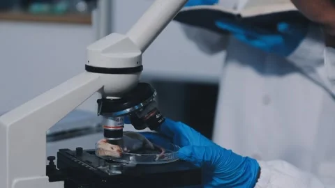 Close-up of scientist performing laboratory testing on a white mouse in a m.. Stock Footage 336564943