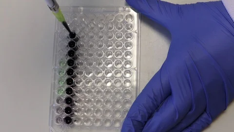 Close up of scientist pipetting colored liquid on a plate Stock Footage 129517463