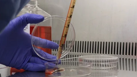 Close up of scientist pipetting colored solution Stock Footage 129498465