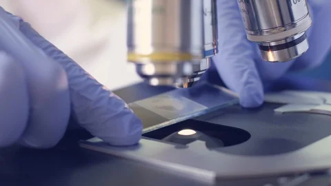 A close-up of a scientist puts a microscope slide Stock Footage 115878017