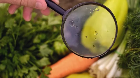 Close up of scientist studying vegetables under magnifying glass in laboratory 库存影片 252667514