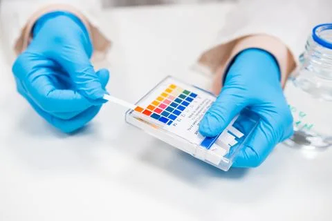 Close up scientist test checks a pH using indicator paper Stock Photos
