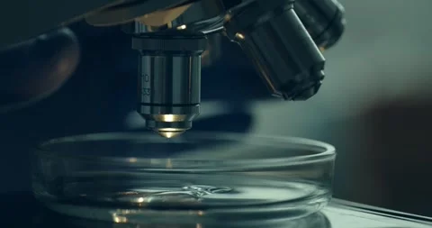 Close-up of Scientist Using Microscope in Laboratory Stock Footage 300362449
