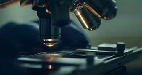 Close-up of Scientist Using Microscope in Laboratory Vídeos de archivo 300362450