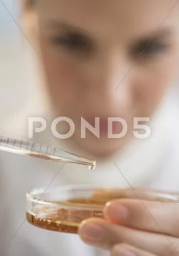 Close-Up Of Scientist Using Pipette And Petri Dish