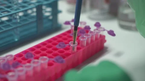 Close up scientist using pipette transfer sample to Micro Centrifuge Tube for PC Stock Footage 131551006
