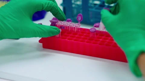 Close up scientist using pipette transfer sample to Micro Centrifuge Tube for PC Stock Footage 134551265