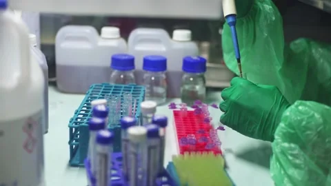 Close up scientist using pipette transfer sample to Micro Centrifuge Tube for PC Stock Footage 134551314