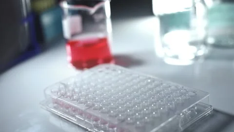 Close up scientist using pipette transfer sample in micro plate	 Stock Footage 144334869