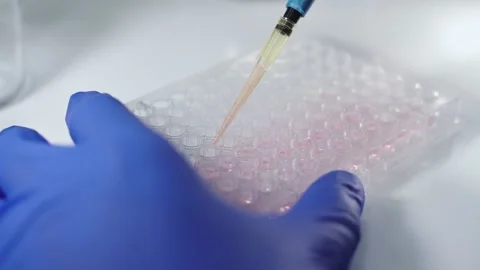 Close up scientist using pipette transfer sample in micro plate	 Stock Footage 144334898