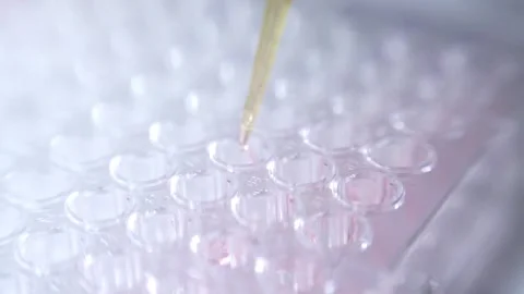 Close up scientist using pipette transfer sample in micro plate	 Stock Footage 144334900