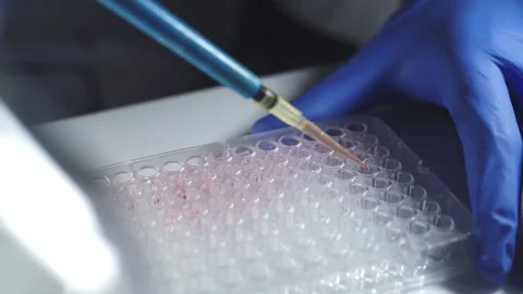 Close up scientist using pipette transfer sample in micro plate	 Stock Footage 144334916