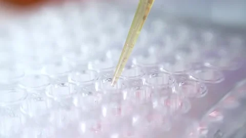 Close up scientist using pipette transfer sample in micro plate	 Stock Footage 144933700
