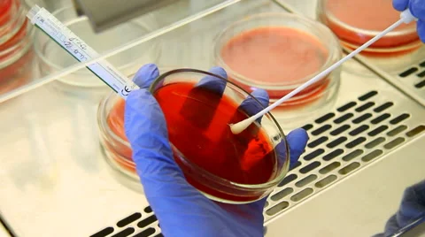 Close up scientist work with tubes in lab Video stock 52166896