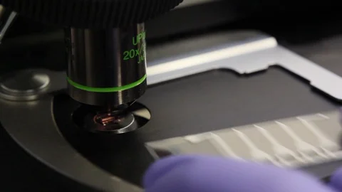 Close-up Of A Scientist Working With A Microscope In The Lab Stock Footage 126535211