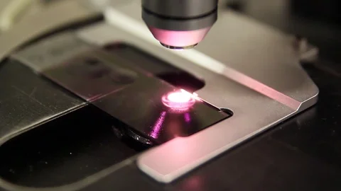 Close-up Of A Scientist Working With A Microscope In The Lab Vidéo 126535220