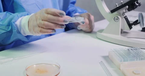 Close-up of scientist working with Petri dish Stock-Footage 151351923