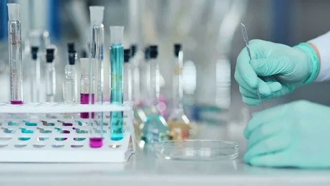 Close-up of scientist's hand preparing powder on glass dish for some research in Stock Footage 85328971