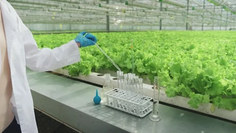 Close-up of scientist's hands taking tests into test tube, laboratory assistant Video stock 280173838