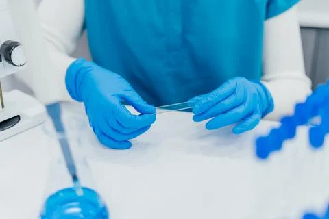 Close-up of a scientists hands wearing blue gloves, carefully holding a tra.. Stock Photos