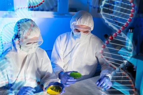Close up of scientists with test samples in lab Stockillustratie