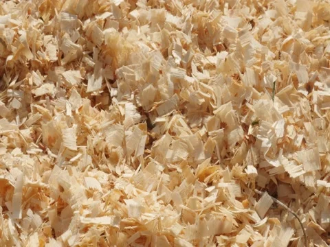 Close-up of scobs made after wood cutting Stock Footage 81777014