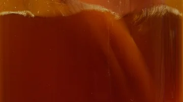 CLOSE UP OF SCOBY ADDED TO JAR Stock Footage 85872747