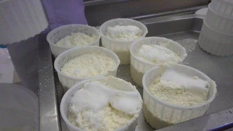 Close-up of scooping cheese in the process of making cheese in factory Stock Footage 129928178