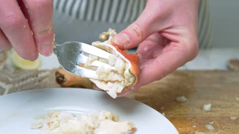Close-up of scooping out delicious meat a crab and with a fork from the claws. Stock Footage 146335160