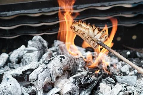 Close-up of scoring fatback pork roasting on a stick over open campfire flame 库存照片