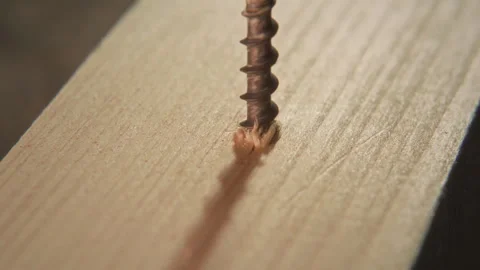 Close Up of Screw Being Inserted into Wooden Plank with Drill Driver Bit Stock Footage 315462364