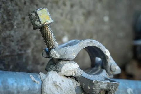 Close up of a screw. Construction site.  Workers.  House renovation. Stock Photos