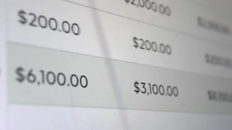 Close-up of scrolling through a budgeting spreadsheet. Finance worksheet. Stock-Footage 343555675