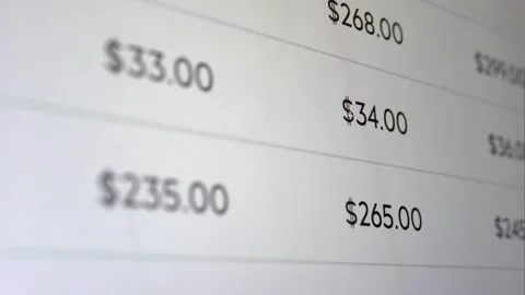 Close-up of scrolling through a budgeting spreadsheet. Finance worksheet. Stock Footage 343555694