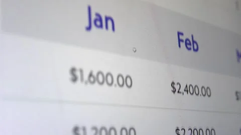 Close-up of scrolling through a budgeting spreadsheet. Finance worksheet. Stock Footage 343555754