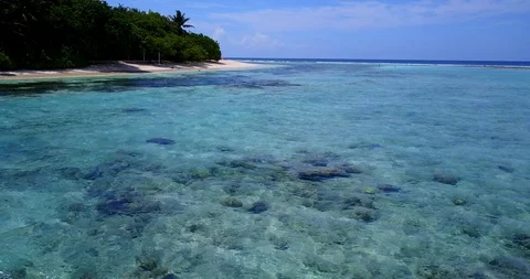 Close up of sea bottom texture with different colors and shapes of coral Stock Footage 119257222