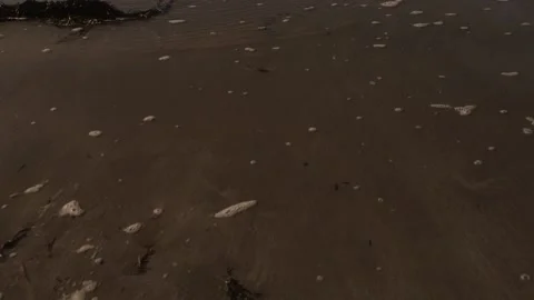 Close up of sea crossing sandy beach. 動画素材 201525741