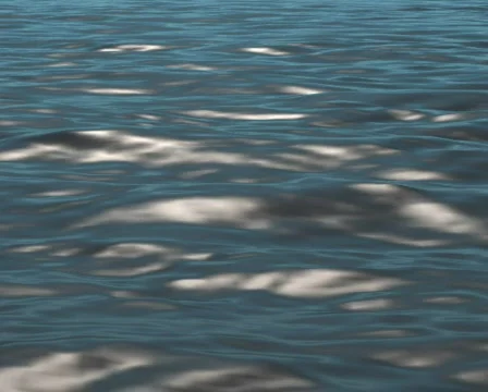 Close Sea Видео 103612