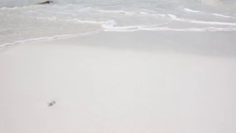 Close up sea Stock Footage 74022007