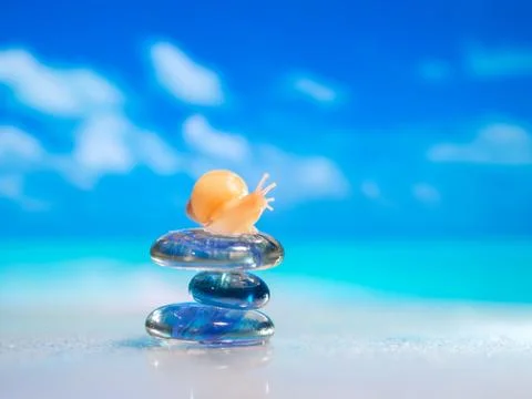 Close-up of sea shell on the beach. Stack of pebble stones and Plumeria at th Stock Photos